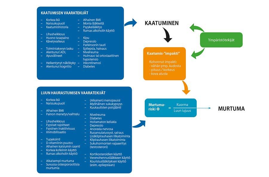 Murtumavaaraan vaikuttavat tekijät Kuvan lähde: Suomen Fysioterapeutit: Kaatumisten ja