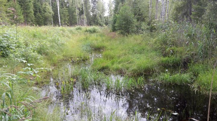 Vesiensuojelurakenteiden kunnossapidon pilotointi: suunnitellaan ja