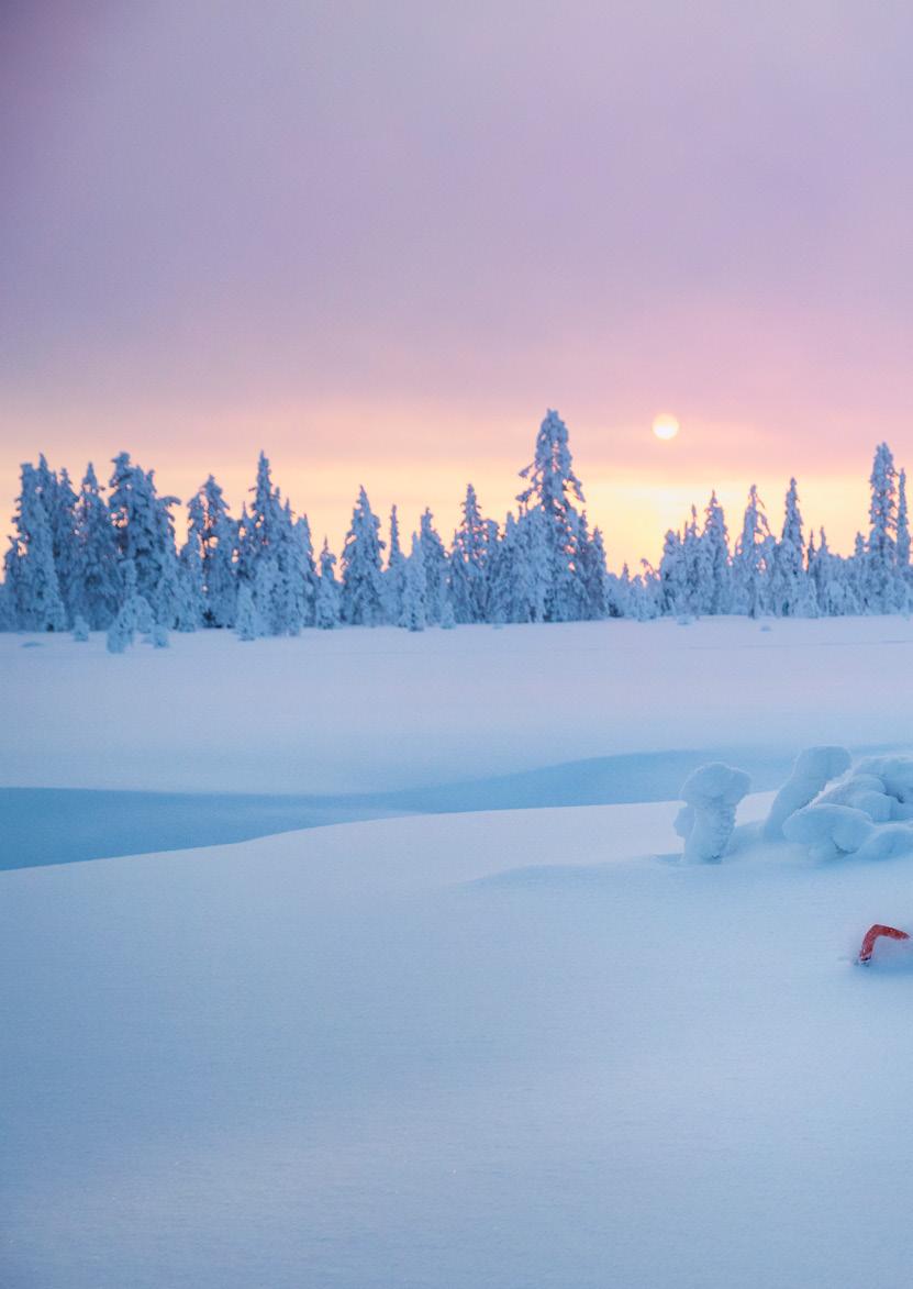 Aurinko vajoaa horisontin taakse. Jylhät tunturit, pohjattomat kinokset ja vaihtelevat erämaareitit odottavat. Sinne uskaltavat vain kaikkein rohkeimmat he, joilla kulkeminen on verissä.