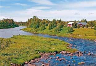 Lääkkeet ja elohopeakuumemittarit tulee palauttaa apteekkeihin. Paristot palautetaan niitä myyviin liikkeisiin.
