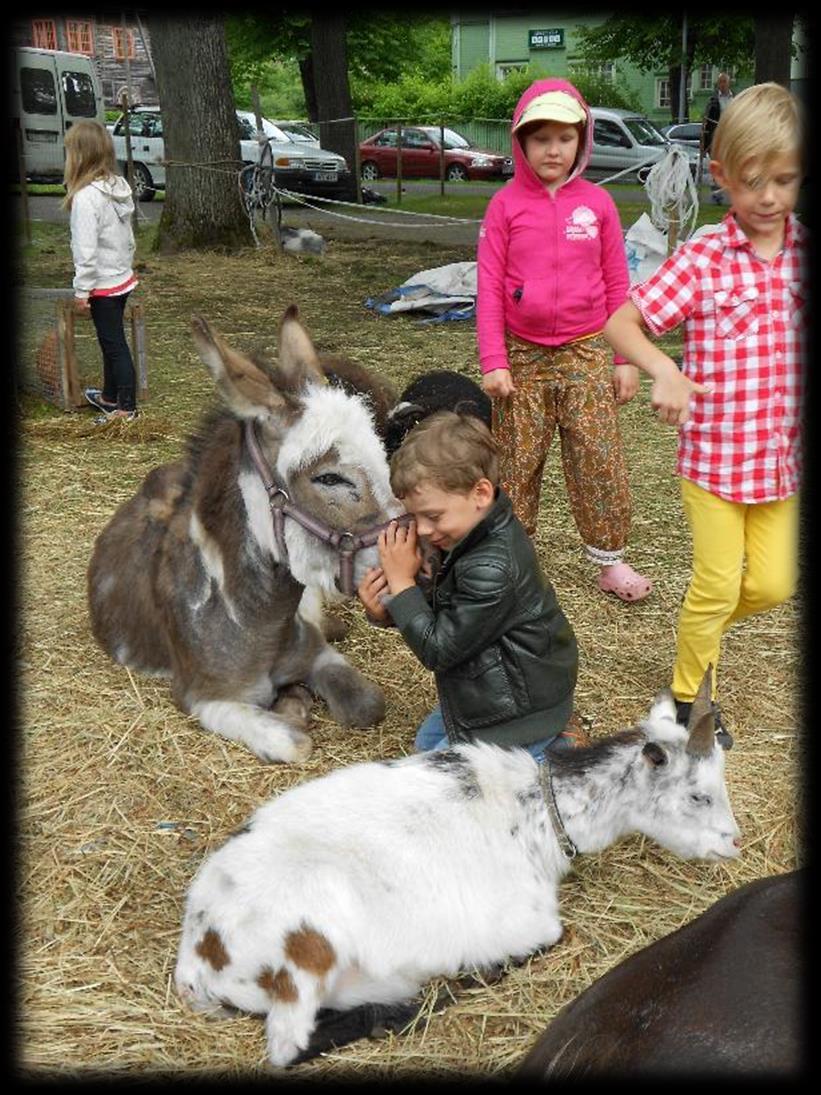 Oppimiseen liittyviä GC käytäntöjä Suomessa vähän Toiminnallisuus maatilalla oppimisen tukena erityisopetuksessa A 4-year trial of Animal assisted therapy with Public School Special Education Student