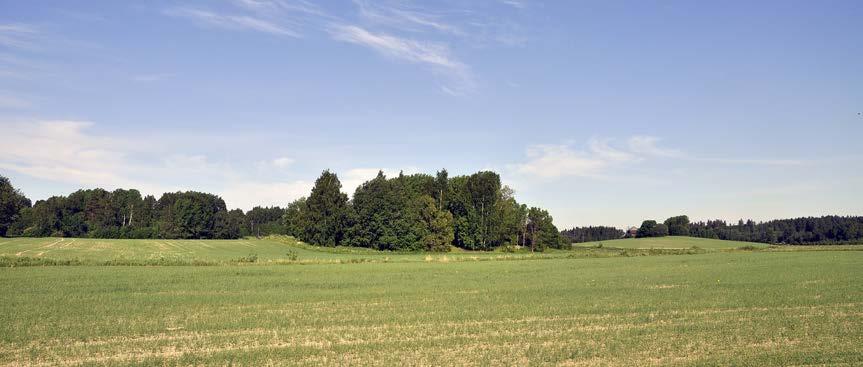 Kuva 1. Mårtensbyn alue on säilynyt maalaismaisena ympäristönä. Kuvan keskellä Lillaksen tonttimaa ja oikealla Smeds ja Bullers nimisten tilojen tonttikumpare.
