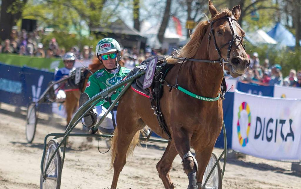RAVITALLI Hevosopiston ravitallin hevoset kilpailivat vuoden 2017 aikana 111 kertaa (178/2016). Ravitallin hevoset saavuttivat 8 voittoa (13/2016), 16 kakkossijaa (22/2016) ja 7 kolmossijaa (16/2016).