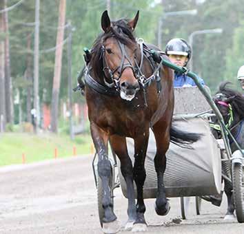 LIIKUNTA JA VAPAA-AIKA Hevosopisto ylläpitää ratsastuskoulua, joka toimii ratsastuksenohjaajaopiskelijoiden oppimisympäristönä.