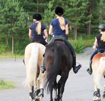 Ratsastuskoulun hevoset olivat opetuksen kanssa yhteiskäytössä.