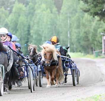 YHTEISTYÖ Yhteistyö alan keskusjärjestöjen Suomen Ratsastajainliiton (SRL) ja Suomen Hippoksen kanssa jatkui tiiviinä.