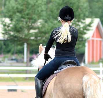 Ratsujalostusliitto) ja Suomenratsut ry sekä useat tapahtumia järjestävät ratsastusseurat ja paikalliset yhdistykset Ypäjän Ratsastajat ry ja Ypäjän hevosystäväinseura ry sekä Hämeen