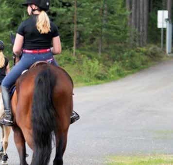Yhteistyötä tehtiin myös alueella toimivien Hippoliksen (hevosalan osaamiskeskus ry), Suomen hevosurheilumuseon, Luonnonvarakeskuksen (LUKE) ja Ypäjän Hevossairaala Oy:n kanssa.