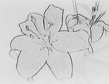 ART [a]: SEPIA: B&W: Kuvan värit ja kirkkaus näkyvät käänteisinä. Kuva on seepiansävyinen.