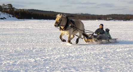 The landscape rests in the blue twilight and the northern lights create magic in the snowscape. For the Sámi people the winter is a busy time of year, the time of the annual reindeer round-up.