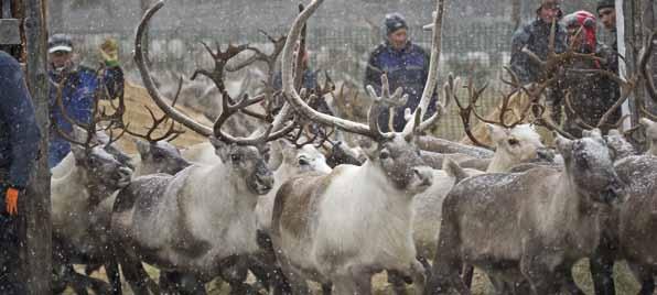 Utsjoki Nuorgam Utsjoki on sekä Suomen että Euroopan Unionin pohjoisin paikkakunta ja Suomen ainoa saamelaisenemmistöinen kunta, jossa saamelainen kulttuuri ja vanha perinne elävät kaikkialla.