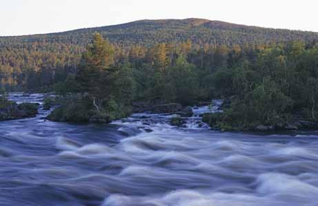 If you have more time available, we recommend Enontekiö in western Sápmi. Here are some examples of our excursions.