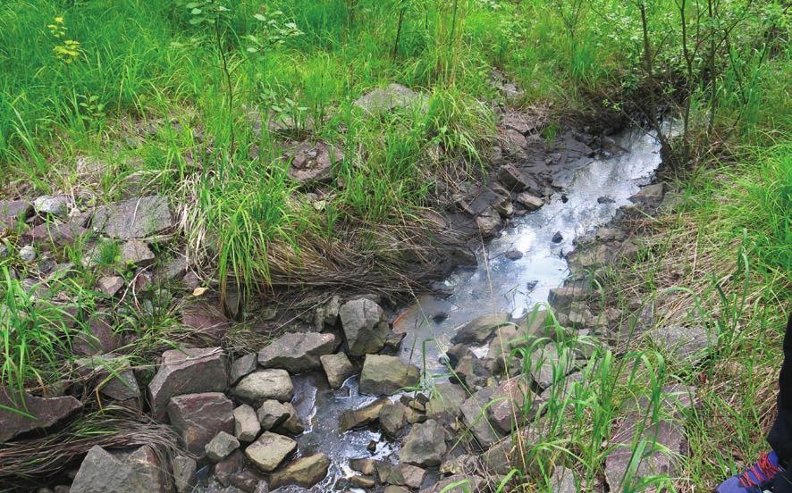 Alhainen kiinnijäämisriski Yhtenä keskeisenä ympäristörikollisuuden uhka- ja torjuntakuvana voidaan pitää sitä, että ympäristörikosten alhainen kiinnijäämisriski lisäisi jatkossa taloudellista