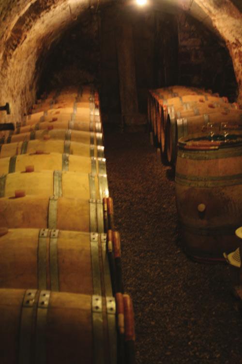 Aurinkoisena syksynä on mahdollista poimia riittävästi botrytisrypäleitä Altesse Sélection de Grains Nobles -viiniä varten.