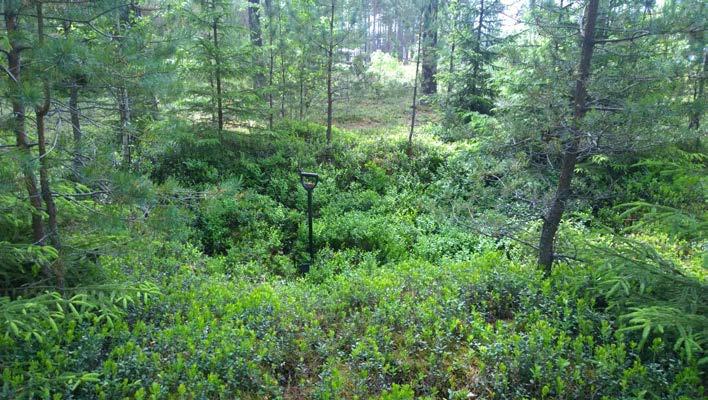1 Säkylä Ristola 1 (uusi kohde) Perustiedot Muinaisjäännöslaji Muinaisjäännöstyyppi Ajoitus kiinteä muinaisjäännös kuoppa ajoittamaton Koordinaatit (ETRS TM35) N: 6789547, E: 246472, z= 53-54 mmpy