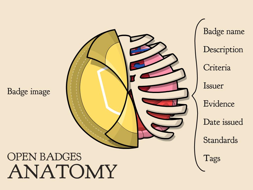 Osaamismerkit tutuksi Osaamismerkit eli badget perustuvat Open Badges konseptiin.