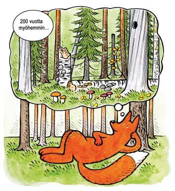 Ennallistamispolttoalueet nähtävillä Määkijänniemessä ja Valkjärvellä Luontoa ihastelemaan Repoveden yksi kävijöille kuuluvimmista lajeista on kaakkuri.