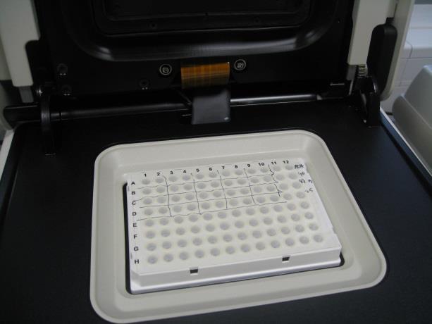 pipetoidaan PCR levylle. n.