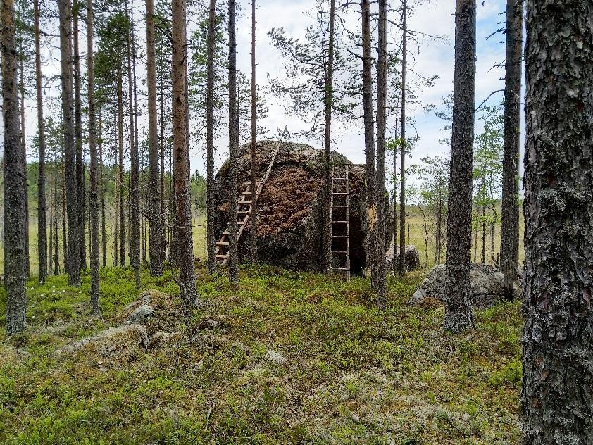 maalimerkinnät ovat lähes kadonneet.