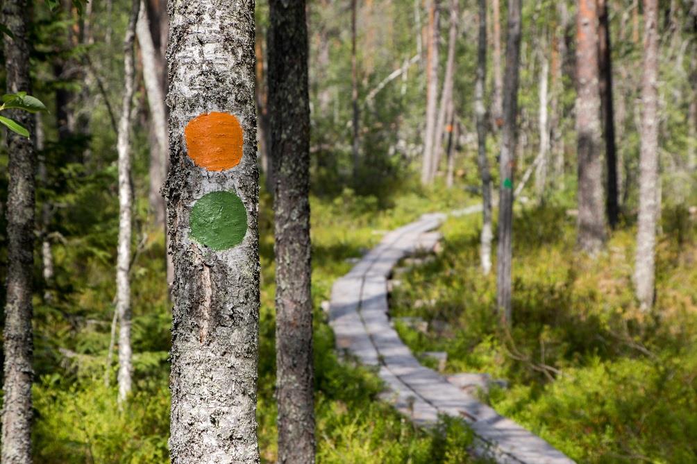 Kuva 17. Maalimerkkejä Peuran polulla. Siistit ja selkeät merkinnät parantavat turvallisuutta reitillä.