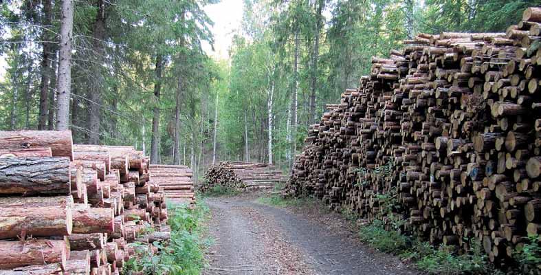 KotiMetsä 1/2014 21 Yhteismetsä Päijät-Häme ylsi toisena toimintavuotena komeaan tulokseen Yhteismetsä Päijät-Hämeen osakaskunta vahvisti kokouksessaan 5.3.2014 viime vuoden tuloksen.