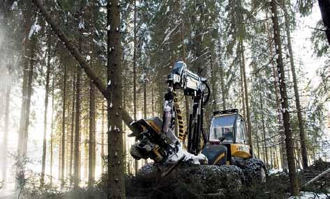 Sertifiointi on erityisen tärkeää suomalaisten paperi- ja puutuotteiden ostajille Keski-Euroopassa, jossa metsien käytön kestävyydestä ollaan erittäin huolissaan.