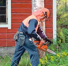 metsätalo Meiltä