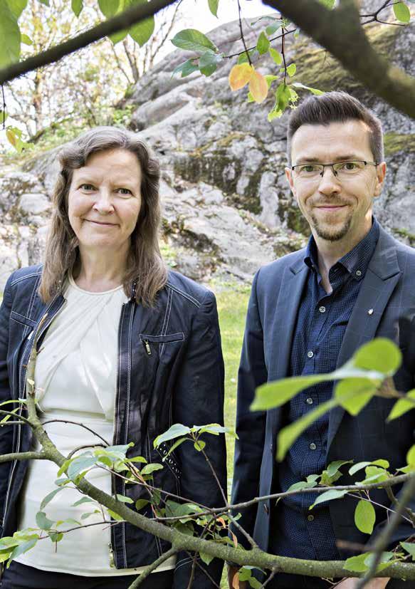 Kun arviointi kytketään systemaattisesti poliittisen prosessin eri vaiheisiin ja arviointitietoa tuotetaan koulutusjärjestelmän eri