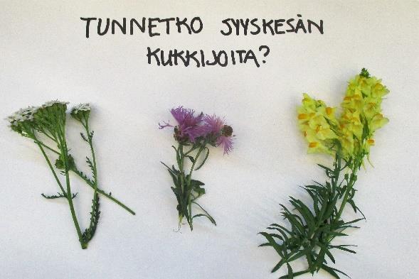 Puheenjohtajan syysmietteitä Uskomattoman helteisen kesän jälkeen ainakin minä odotan jo raikkaita syyspäiviä.