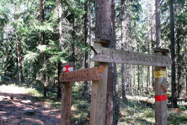 Muista turvalliset jalkineet, sillä metsän polkuja kuorruttavat niin puiden juuret kuin kivetkin.