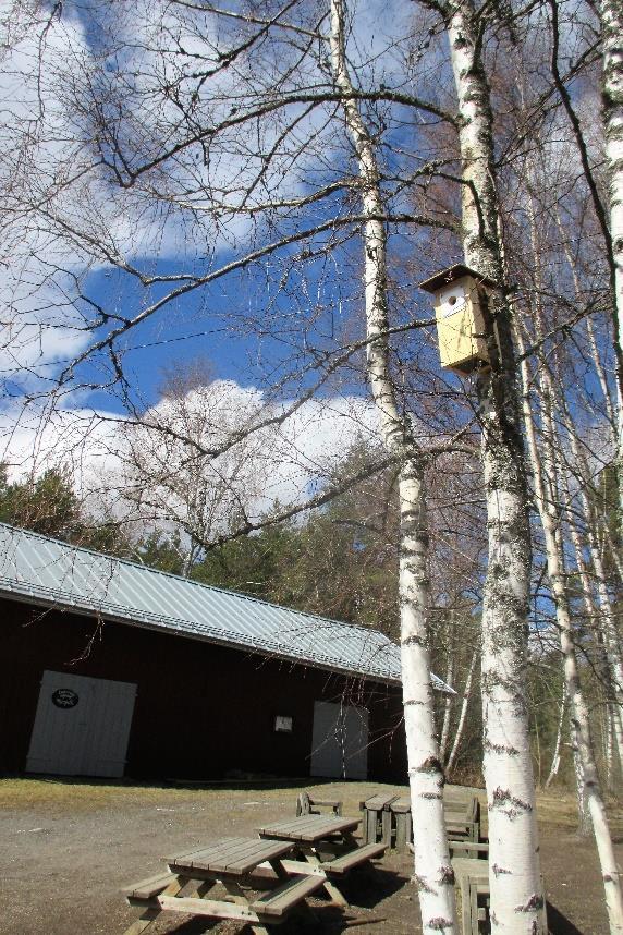 Luontotapahtuma lapsille ja heidän vanhemmilleen lauantaina 13.10.