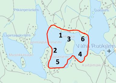 Lihava ja Vähä Ruokjärvi (18.8/2017): Todennäköisesti suurim- maksi osaksi toukka- ja kotelonahkoja.