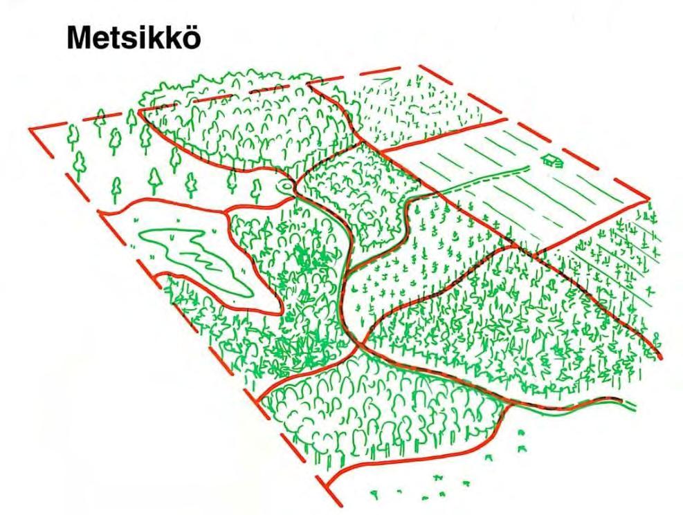 Termejä ja käsitteitä Kuvio Puustoltaan ja kasvupaikaltaan yhtenäinen alue Metsälö Yhden tilan