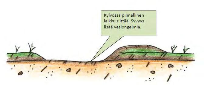 Metsänviljely kylväen