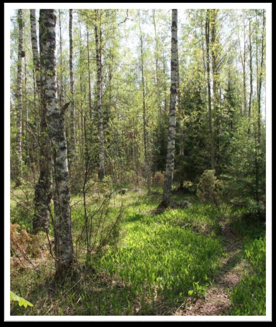 Kasvupaikkatyypit Kasvupaikkatyyppiluokitus kuvaa metsien viljavuutta ja puuntuotoskykyä kuuteen kasvupaikkatyyppiin jakaantuva luokitus.