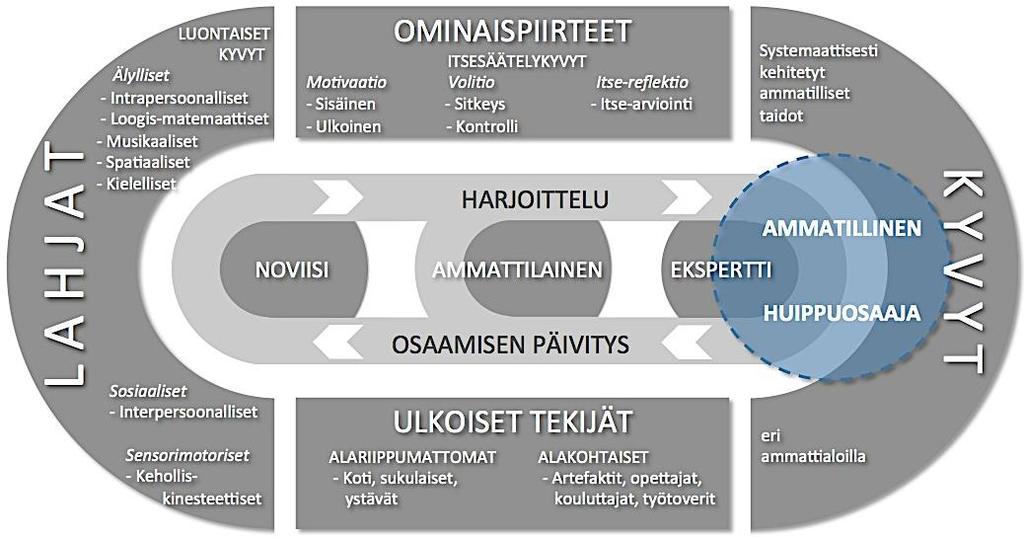 The developmental model of vocational and professional