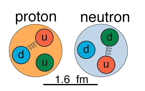 Ydin eli nuklidi ja kvarkit (nuclid, quarks) protoneja ja sähköisesti neutraaleja neutroneja (molemmat nukleoneja). vahvan vuorovaikutuksen aiheuttama ns.