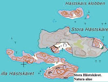 kohdalle. Osa rakennuspaikasta täyttänee myös mahdollisesti silikaattikalliot luontotyypin määritelmän.