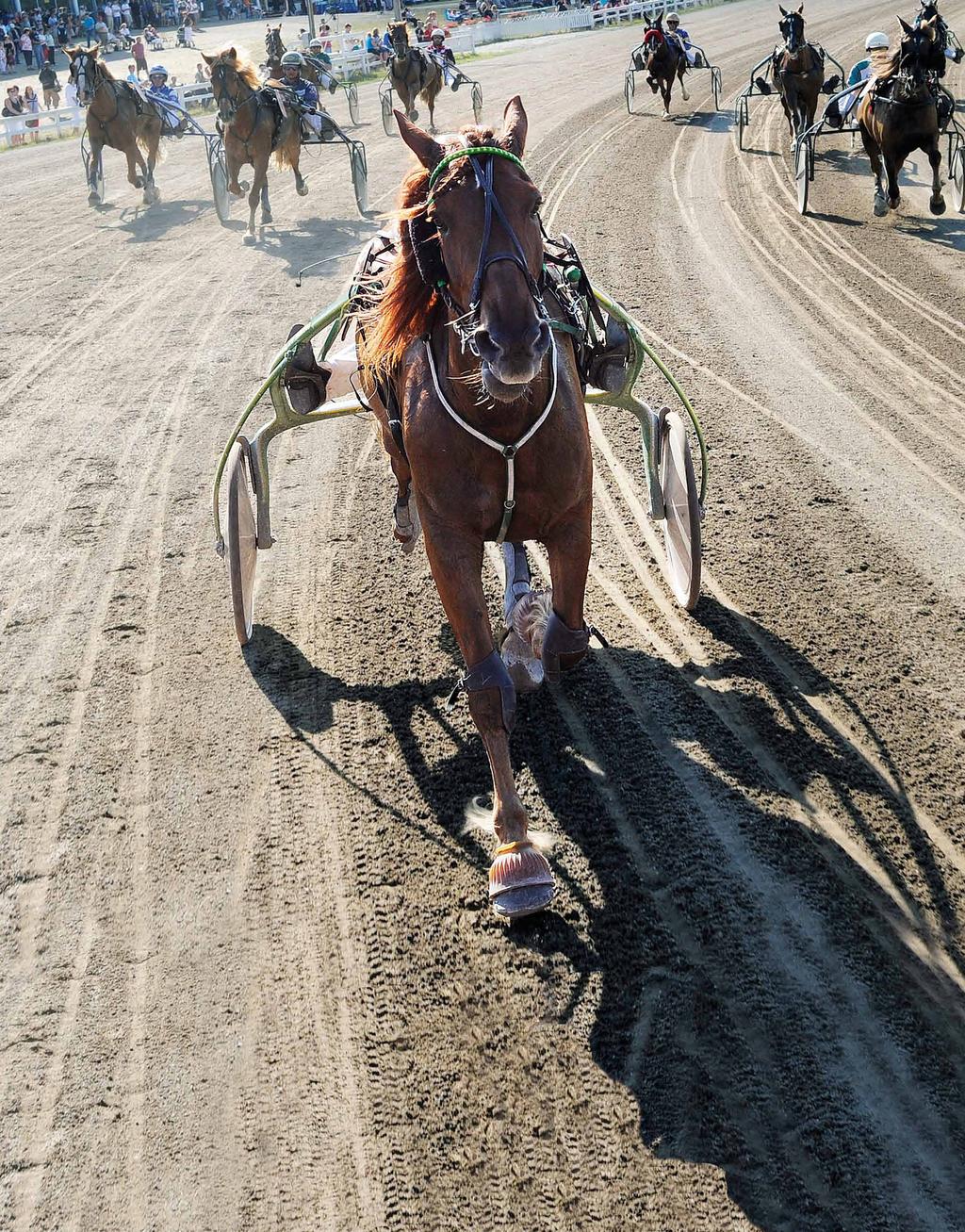 Luennot perjantaina 4.5.2018 Raviradan katsomo 8:00 Ovet aukeaa. Tarjolla aamukahvi ja EXPO-alueen esittelypisteet avoinna 8:30 Tapahtuman avaus.