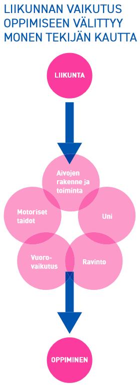 Koulupäivän aikainen liikunta ja oppiminen Koulupäivän aikainen liikunta on myönteisesti yhteydessä oppimiseen ja oppimistuloksiin Näkyy myönteisesti mm.