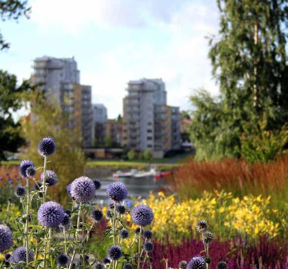 Tukea omaisille Tietoa läheistään auttavalle tarjottavista