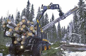 Vähäpihkainen ja tasakuvioinen suomalainen puu on ensiluokkainen materiaali moniin käyttötarkoituksiin.