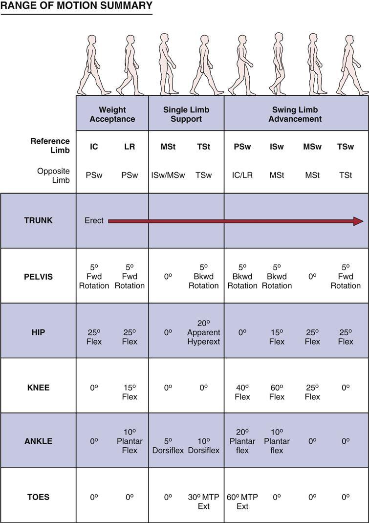 14 Kuva 3. Normal range of motion (ROM) during gait cycle. IC=Initial contact; ISw=initial swing; LR=load response; MSt =midstance; MSw=midswing; PSw=preswing; TSt=terminal stance; TSw=terminal swing.