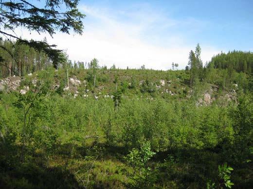 GEOLOGIAN TUTKIMUSKESKUS Raportti 34 (72) Kuva 23.