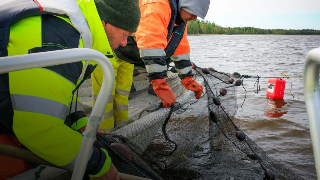 VESIJÄRVIPROJEKTI On myös