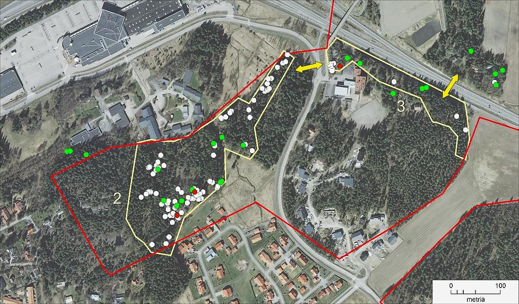 4.1 Alue 1 (Kauselan urheilukenttä) Kaarinantien ja Kauselan urheilukentän välimaastosta on runsaasti liito-oravahavaintoja vuosilta 2002 2004.