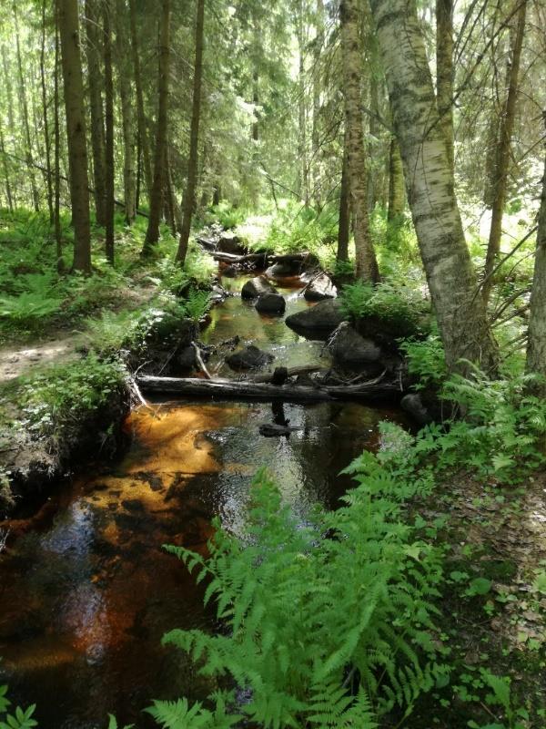 Joissakin tapauksissa tämä tarkoittaa sitä (esimerkiksi kuvissa olevat kauniit metsät ja maisemat), että