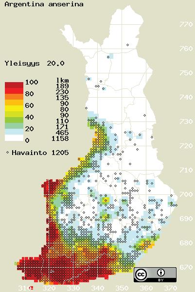 ketohanhikilla on pitkä käyttöhistoria erilaisten sairauksien hoidossa.