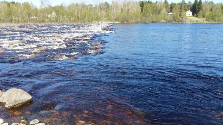 Ensimmäisellä käyntikerralla Iijoki oli ajankohtaan nähden poikkeuksellisesti tulvassa eikä tarkkoja havaintoja kalatien aukoista ja rakenteista voitu tehdä (kuva 3).