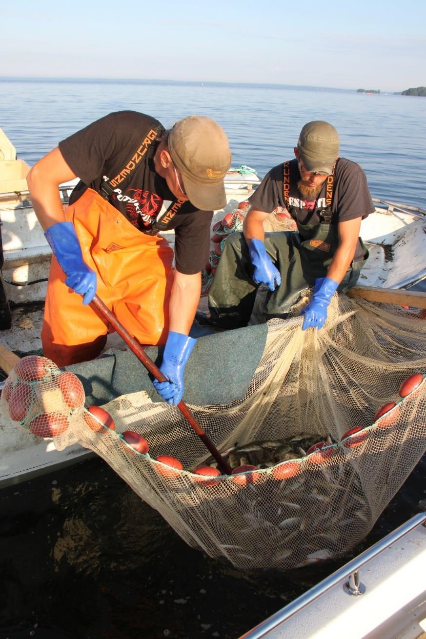 Vuosittaiset kokonaissaalisarviot Haastateltavien arviot kokonaissaaliista (pääsaalislajit): Karvianjärvi: 20 000 kg (hauki, kuha, ahven, särki, lahna) + hoitokalastussaalis Isojärvi: 40 000 kg